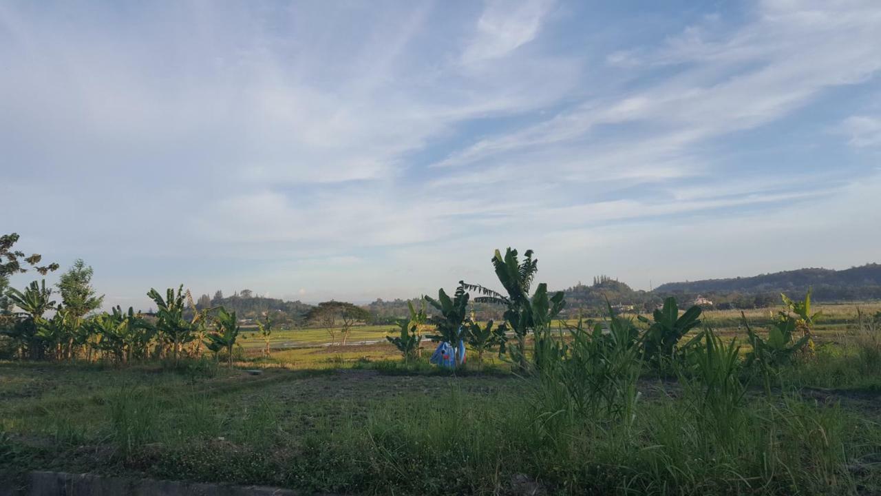 Villa Kayu Yogyakarta&Bungallow Esterno foto